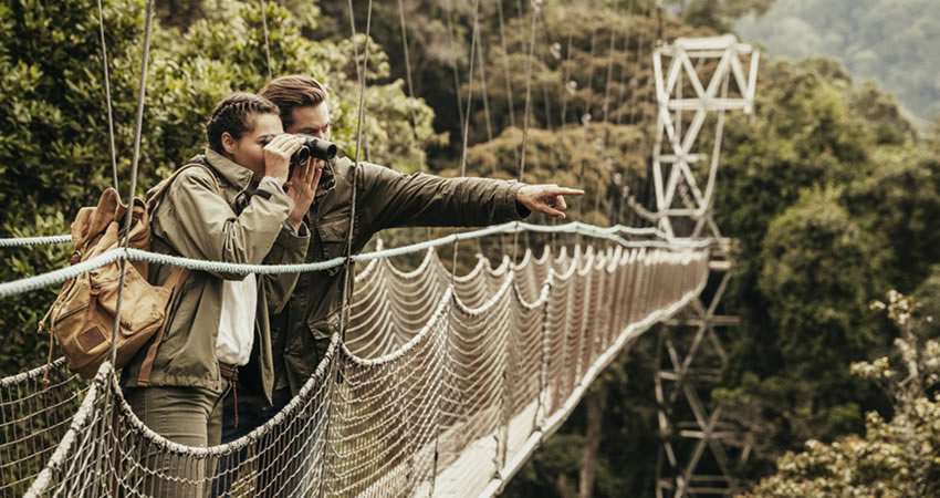 The Magnificent Canopy Walk in Nyungwe Forest National Park